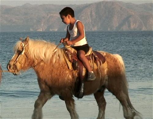 young boy riding horse on Tenacatita beach at sunset