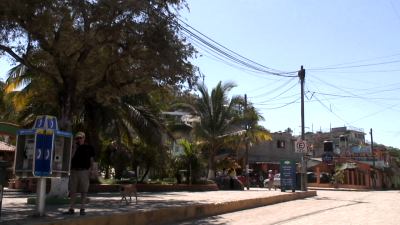 the zokalo in Sayulita at the town center is a peaceful place to rest awhile under the palms